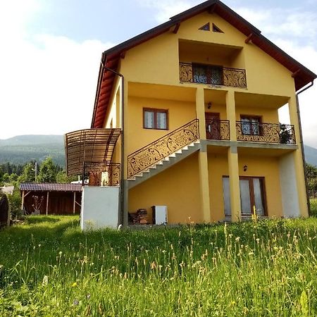 Hotel Casa Dana Borşa Exterior foto